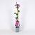Clematis 'Comtesse de Bouchaud' Pot 2 Liter
