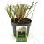 Calamagrostis acut. 'Karl Foerster' Pot 2 Liter