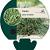 Carex conica 'Snowline' Pot 9 cm