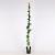 Passiflora caerulea Pot 5 Liter 150 - 175 cm