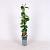 Lonicera brownii 'Dropmore Scarlet' Pot 2 Liter