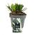 Liriope muscari 'Monroe White' Pot 2 Liter