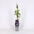 Clematis 'Kathleen Dunford' Pot 2 Liter