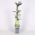 Exochorda racem. 'Niagara' Pot 2 Liter