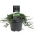 Juniperus h. 'Wiltonii' Pot 3 Liter 