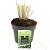 Panicum virgatum 'Northwind' Pot 2 Liter