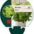 Mentha piperita Pot 9 cm