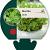Mentha spicata Pot 9 cm