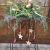 Kerstworkshop 2 Zaterdag 13 Dec. 13:00