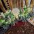 Kerstworkshop 3 Zaterdag 13 Dec. 13:00