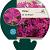 Phlox (D) 'Crackerjack' Pot 9 cm