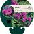 Phlox (P) 'Düsterlohe' Pot 9 cm