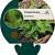 Polystichum tsussimense Pot 9 cm