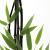 Fargesia nitida 'Black Pearl' Pot 15 liter 150 - 175 cm