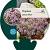 Thymus praecox 'Minor' Pot 9 cm