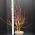 Cornus sang. 'Midwinter Fire' Pot 10 liter 60 - 80 cm