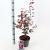 Acer pal. 'Skeeter's Broom' Pot 3 Liter 40 - 50 cm