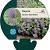 Nepeta faassenii 'Blue Wonder' Pot 9 cm