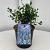 Ceanothus impressus 'Victoria' Pot 2 liter 25-30cm