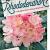 Rhododendron (Y) 'Percy Wiseman' Pot 80 liter 70 - 80 cm