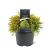 Chamaecyparis p. 'Filifera Aurea' Pot 3 Liter 
