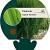 Panicum virgatum 'Northwind' Pot 9 cm
