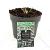 Phlomis tuberosa 'Amazone' Pot 2 Liter