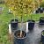 Ligustrum oval. 'Aureum' Pot 70 Liter Stam 80 cm