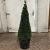 Taxus baccata Pot 40 liter 130 - 140 cm Piramidevorm