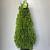 Thuja occ. Golden Smaragd Pot 18 liter 100 - 110 cm