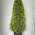 Thuja occ. 'Smaragd' Pot 25 liter 150 - 160 cm