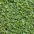 Buxus sempervirens Pot 20 liter Stam 60 cm