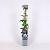 Clematis 'Justa' Pot 2 Liter