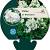 Phlox (P) 'White Admiral' Pot 9 cm