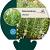Rosmarinus officinalis Pot 9 cm