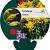 Solidago 'Goldkind' Pot 9 cm
