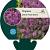 Thymus praecox 'Purple Beauty' Pot 9 cm