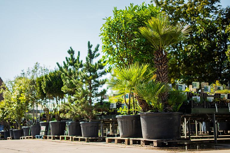 Ontdek ons unieke assortiment